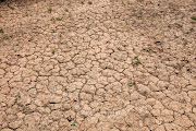 An image illustrating drought. File photo.