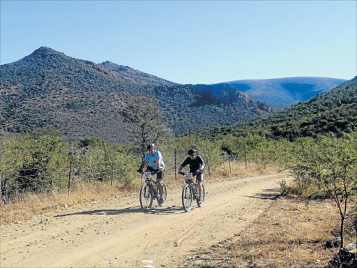 ON COURSE: Mountain Bikers taking part in the Henderson Valley MTB race over the past weekend