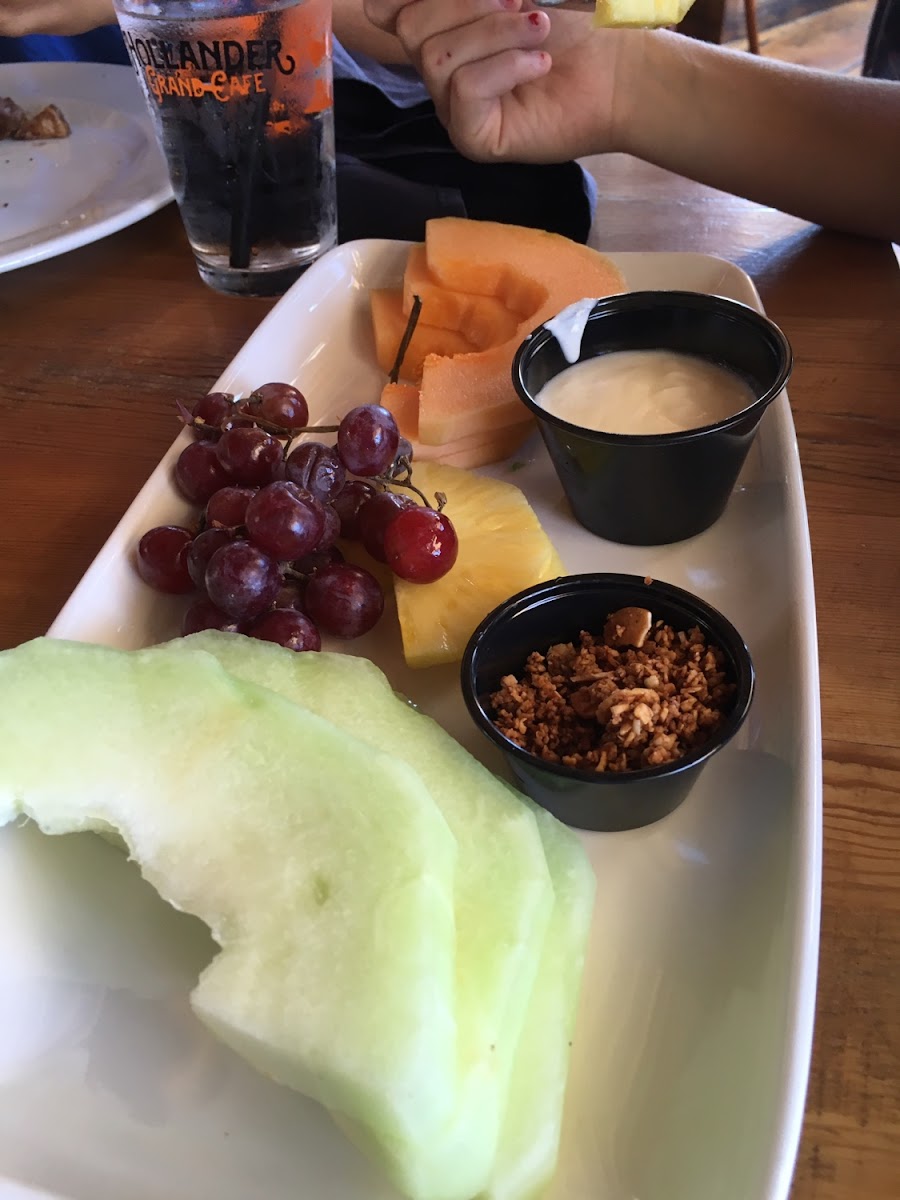 Fruit plate with small side of yogurt and granola. Simple GF option