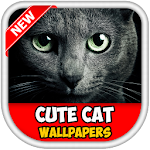 Funny Cat Wallpapers HD Apk