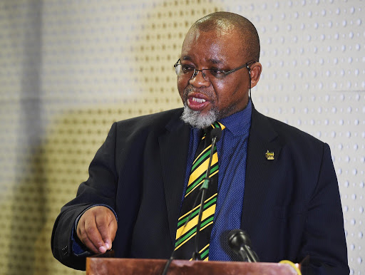 Mineral resources minister Gwede Mantashe explained before the state capture commission that family friend Papa Leshabane offered to pay for security cameras at his Boksburg home. File image.