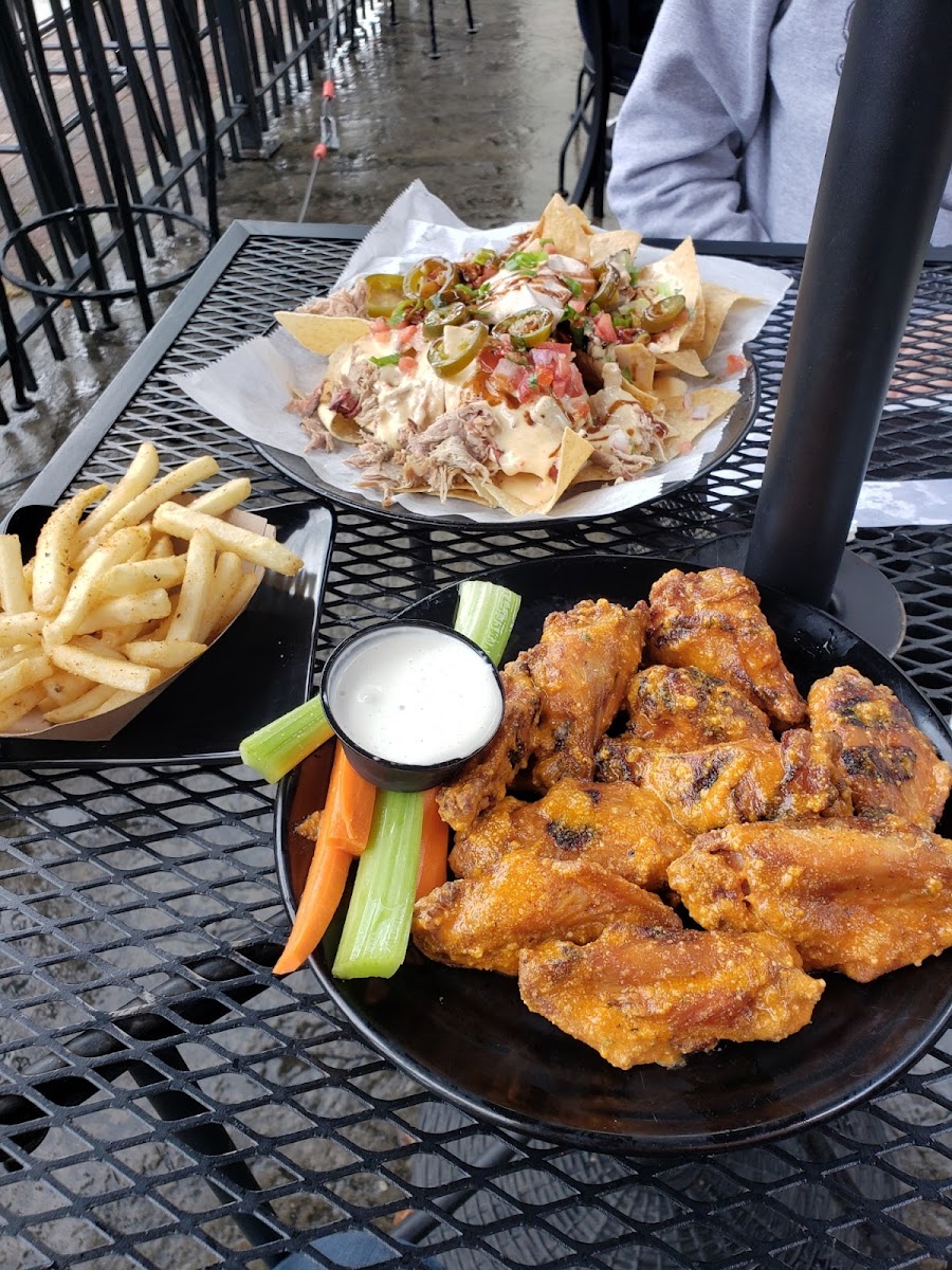 Pork nachos and fries- both were awesome!