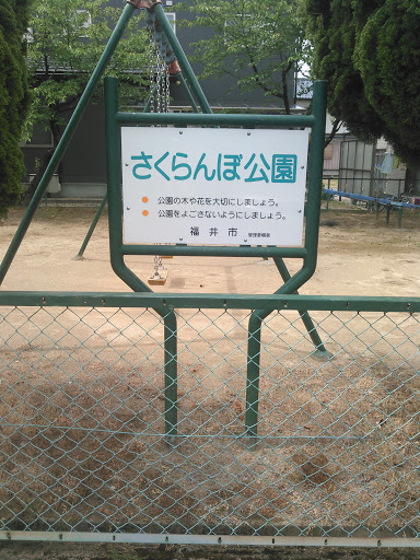 さくらんぼ公園