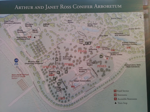 Arthur And Janet Ross Conifer Arboretum