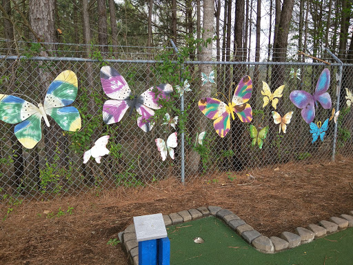 Butterfly Fence