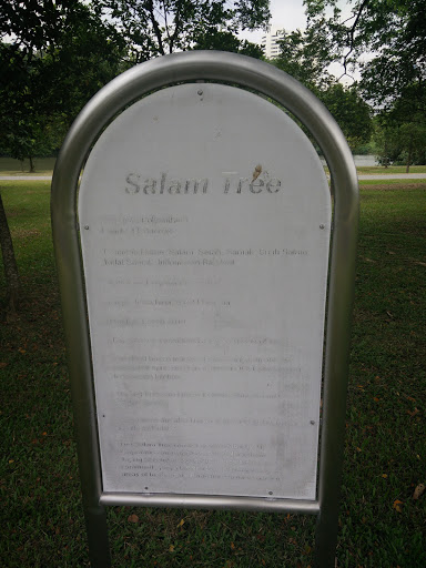 The Salam Tree 