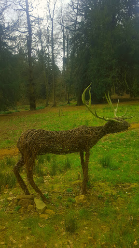 The Stag