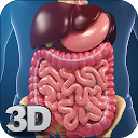 ダウンロード Digestive System Anatomy をインストールする 最新 APK ダウンローダ