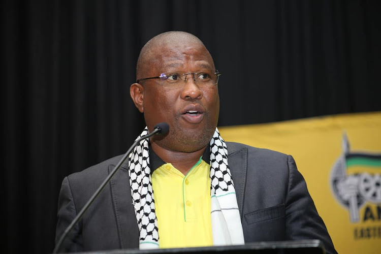 Eastern Cape premier and ANC provincial chair Oscar Mabuyane speaks at the launch of the party’s manifesto in Port Alfred.