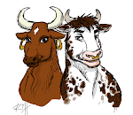 cow and bull