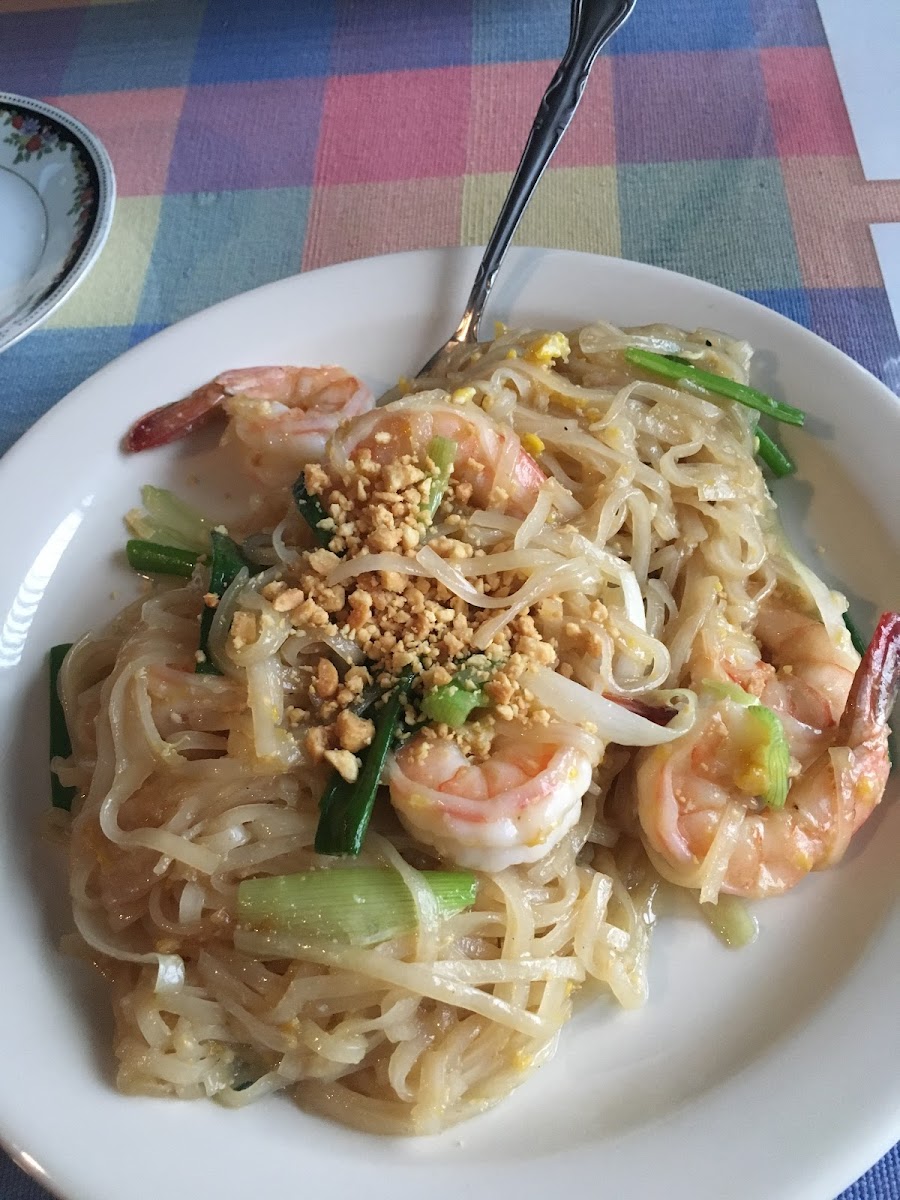 Gluten-Free Noodles at Bangkok House Restaurant