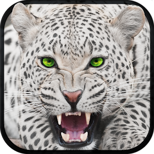 Wild Snow Leopard Survival Sim Hacks and cheats