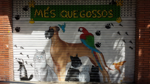 Graffiti Mes Que Gossos