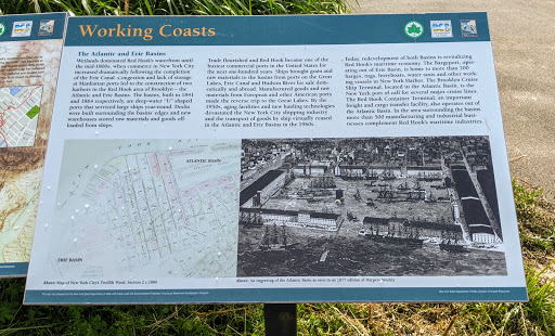 Working CoastsThe Atlantic and Erie Basins Wetlands dominated Red Hook's waterfront until the mid-1800s, when commerce in New York City increased dramatically following the completion of the Erie...