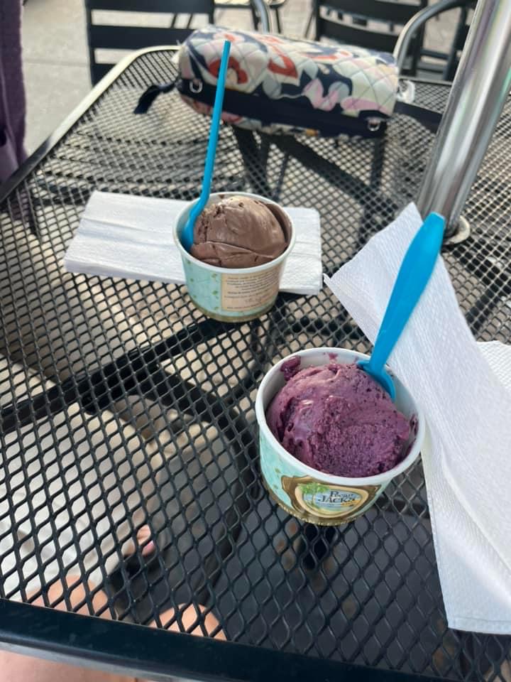 Blueberry lavender dairy free ice cream!