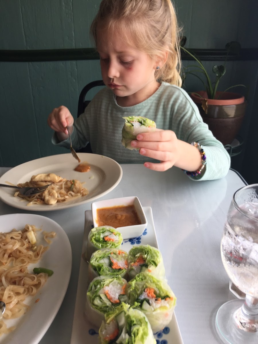 Pad Thai no egg and veggie spring rolls and spicy peanut sauce. Eggfree wheatfree 7 y/o approves