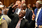 Who is the rightful mayor of Nelson Mandela Bay? The court will decide. Pictured here is Mayor Mongameli Bobani (UDM). 