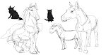 hors n catt