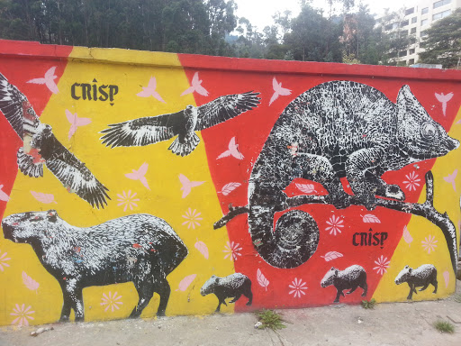 Mural Camaleón