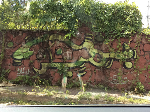 Graffiti Crocodaio Calânguico