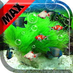 Aquarium Max Live Wallpaper Apk