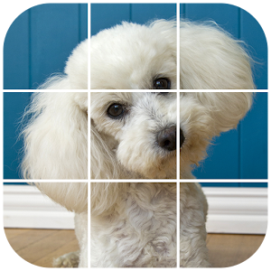 Poodle Tile Puzzle.apk 1.0