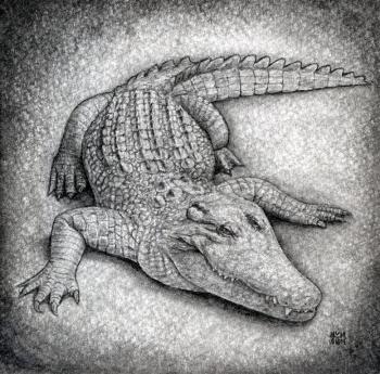 Learn How to Draw Reptiles — приложение на Android