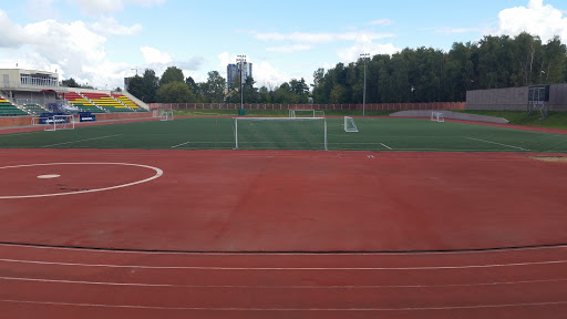 Стадион Чайка