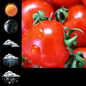 Download Soft Tomato Clock Widget For PC Windows and Mac