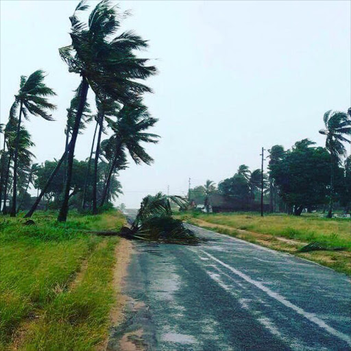 Tropical cyclone Dineo left a trail of destruction in its path on Wednesday.