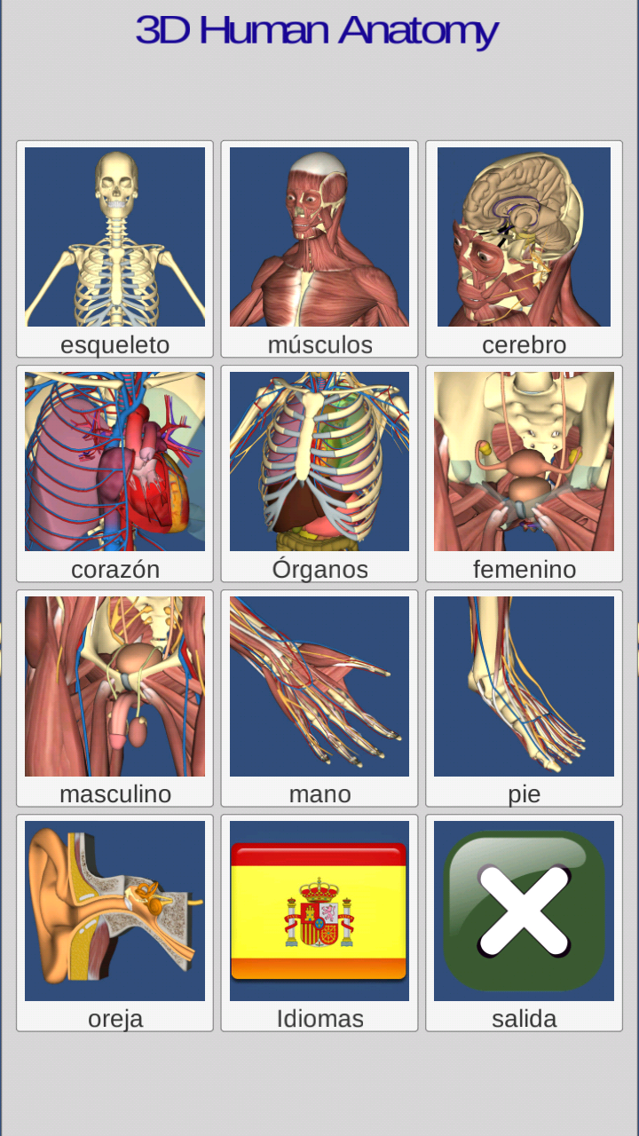 Android application 3D Anatomy screenshort