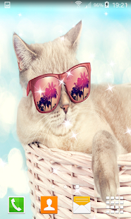 How to mod Funny Cat Live Wallpapers 1.0 unlimited apk for pc