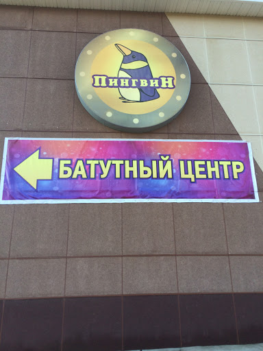 Пингвин