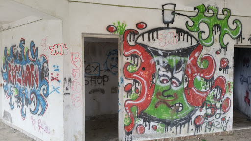 Grafitti House