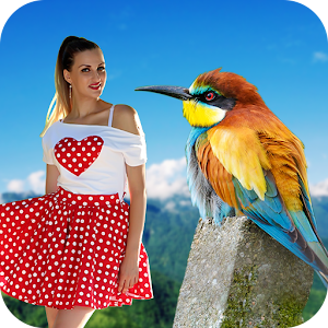 Download Birds Animated Photo Frames For PC Windows and Mac