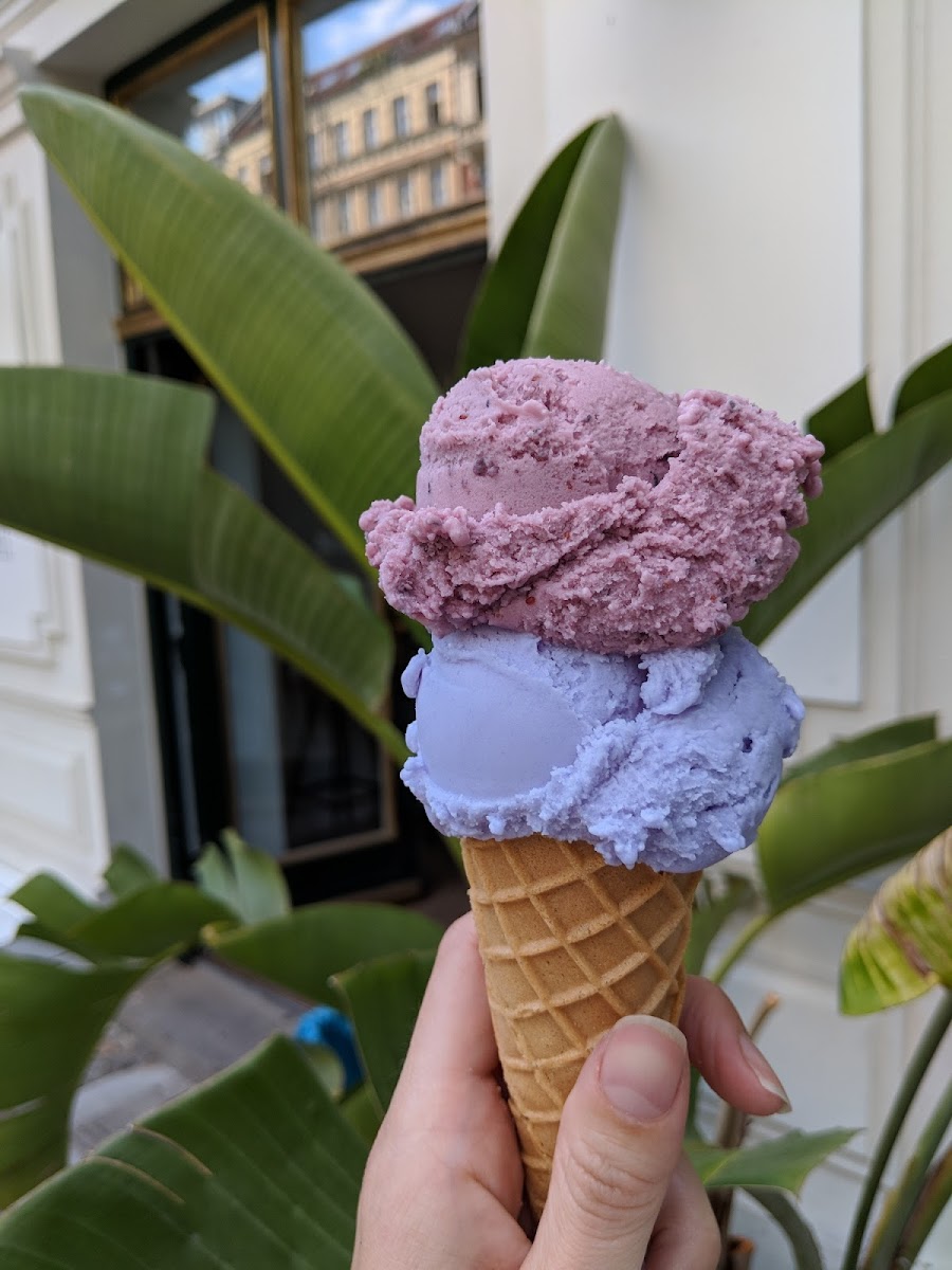 Blueberry yogurt (ok) and lemon coconut (delicious!)