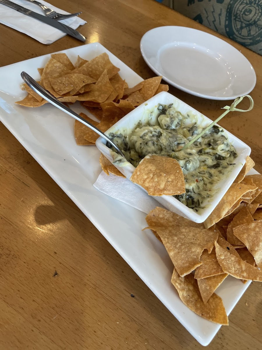 Spinach artichoke dip. They make their own chips in house. They are fried corn tortillas. Delicious.