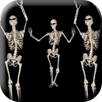 Belly Dancing Live Skeleton Apk