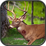 Jungle Animal Hunter Apk