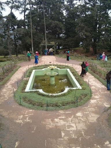 Rose Garden Pond 