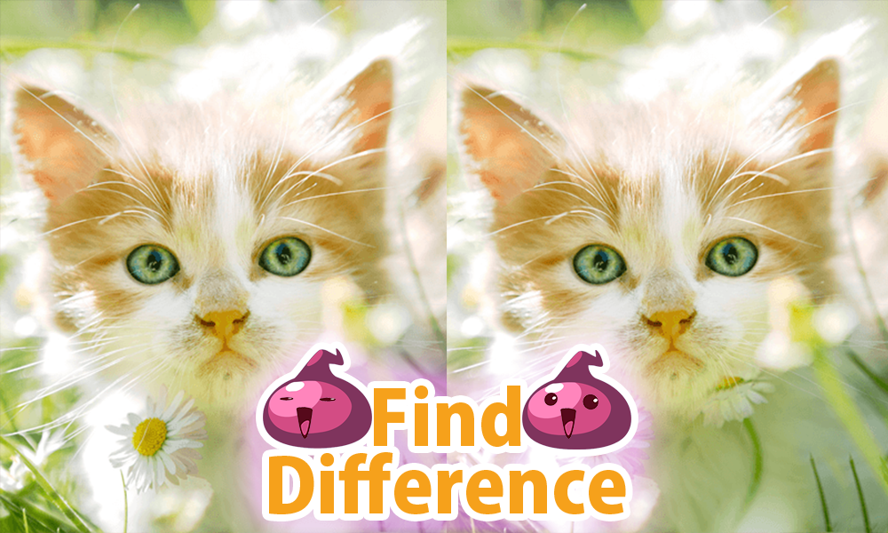 Android application Find the difference free 30 screenshort