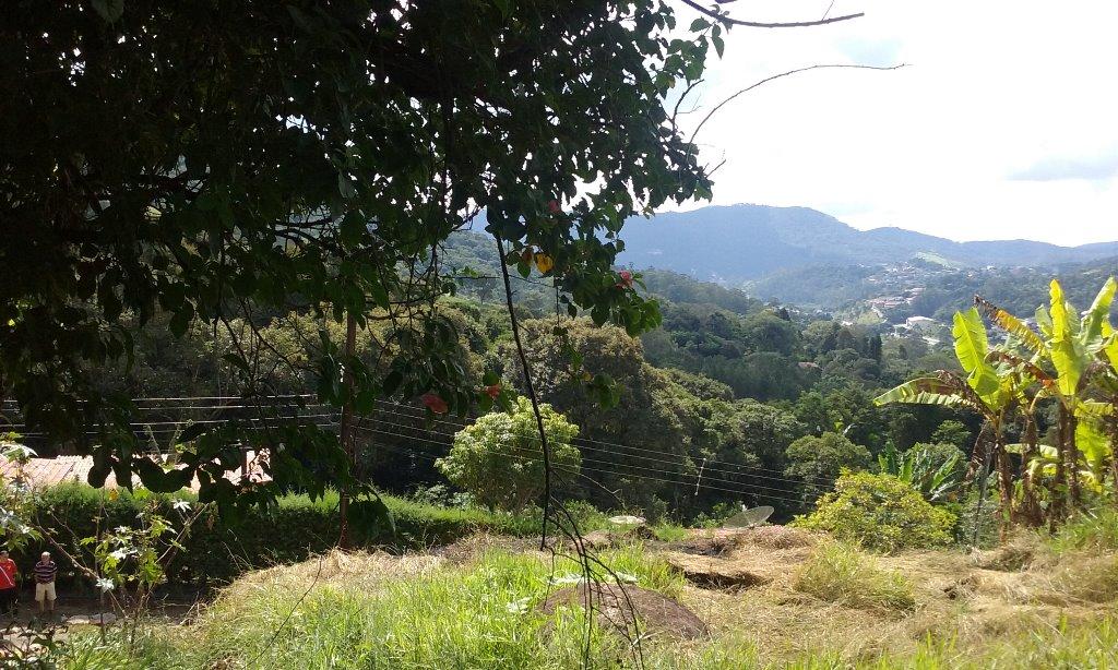 Terrenos à venda Terra Preta