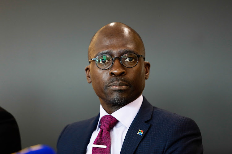 Former minister of public enterprises Malusi Gigaba was described by acting chief justice Raymond Zondo as 'a dupe' and 'Gupta man'.