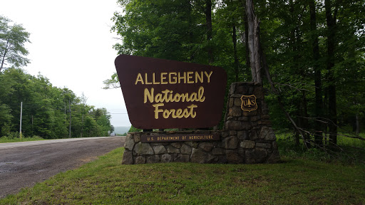 Allegheny National Forest