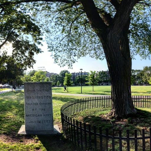 UNDER THIS TREE WASHINGTON FIRST TOOK COMMAND OF THE AMERICAN ARMY JULY 3, 1775   Submitted by @RNewengland