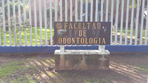 Monumento A La Facultad De Odontología
