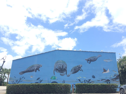 Manatee Mural