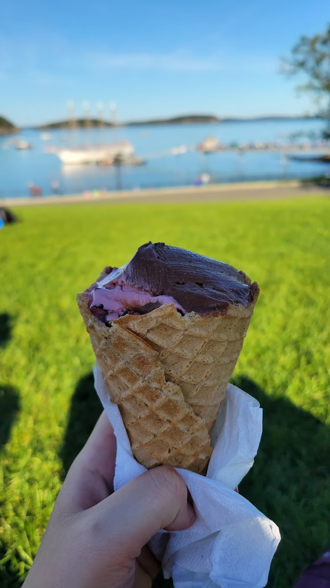 Vegan chocolate ice cream and cherry chip in their delicious GF waffle cone!!