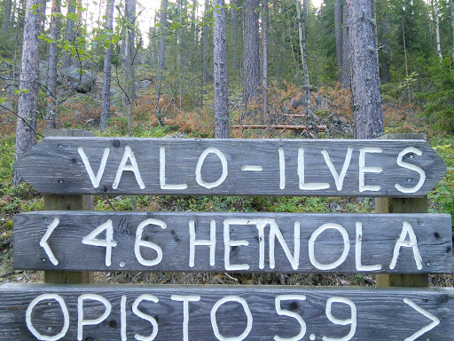 Valo-Ilves