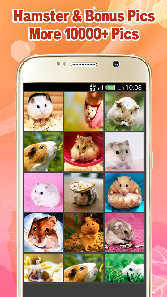 Android application Cute Hamster Wallpapers screenshort